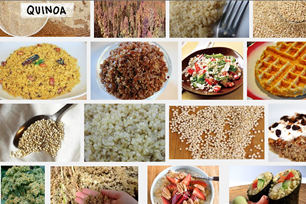 1492ae86-b5af-4955-88c5-fceb0cef0669